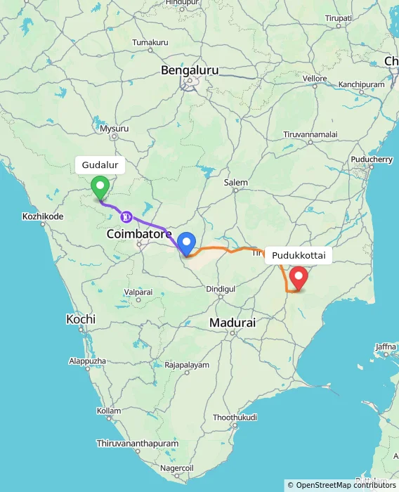 Route map showing distance and travel time from Gudalur, India to Pudukkottai, India
